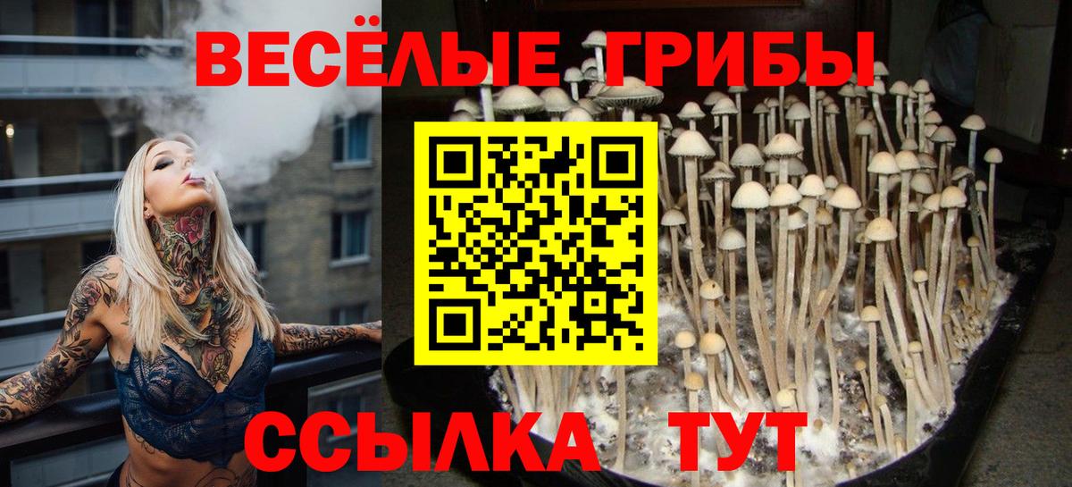 Галлюциногенные грибы мицелий Канаш