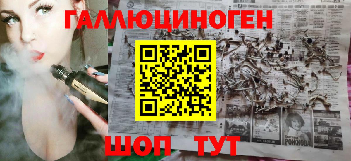 дарнет шоп  Галлюциногенные грибы прущие грибы  Вход с VPN  Канаш 