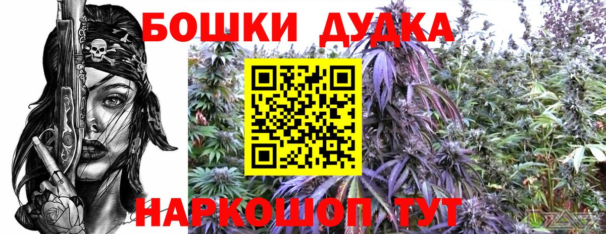МАРИХУАНА семена Канаш